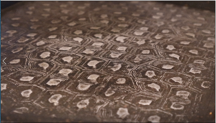 31f0321e7b892c0922d97014633ad9a1_1561086104_4879.gif